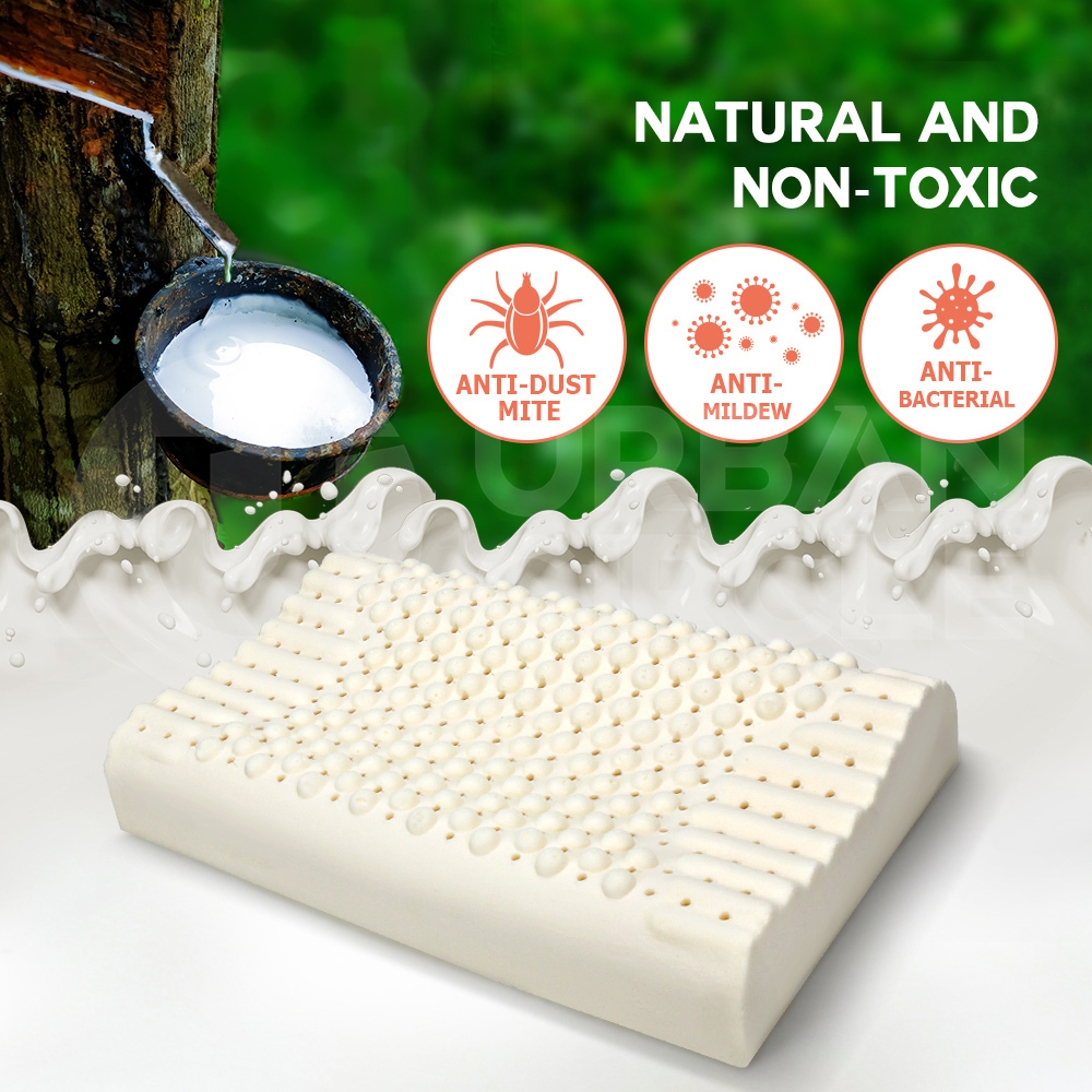 Mona Bedding 2x Natural Latex Pillow w Cover Medium Feel Standard 3 Zone Contour - Picture 12 of 48