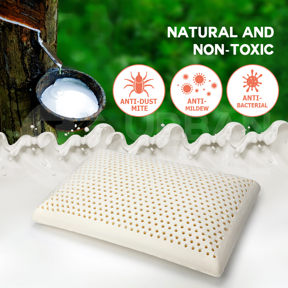 Mona Bedding 2x Natural Latex Pillow w Cover Medium Feel Standard 3 Zone Contour - Picture 23 of 48