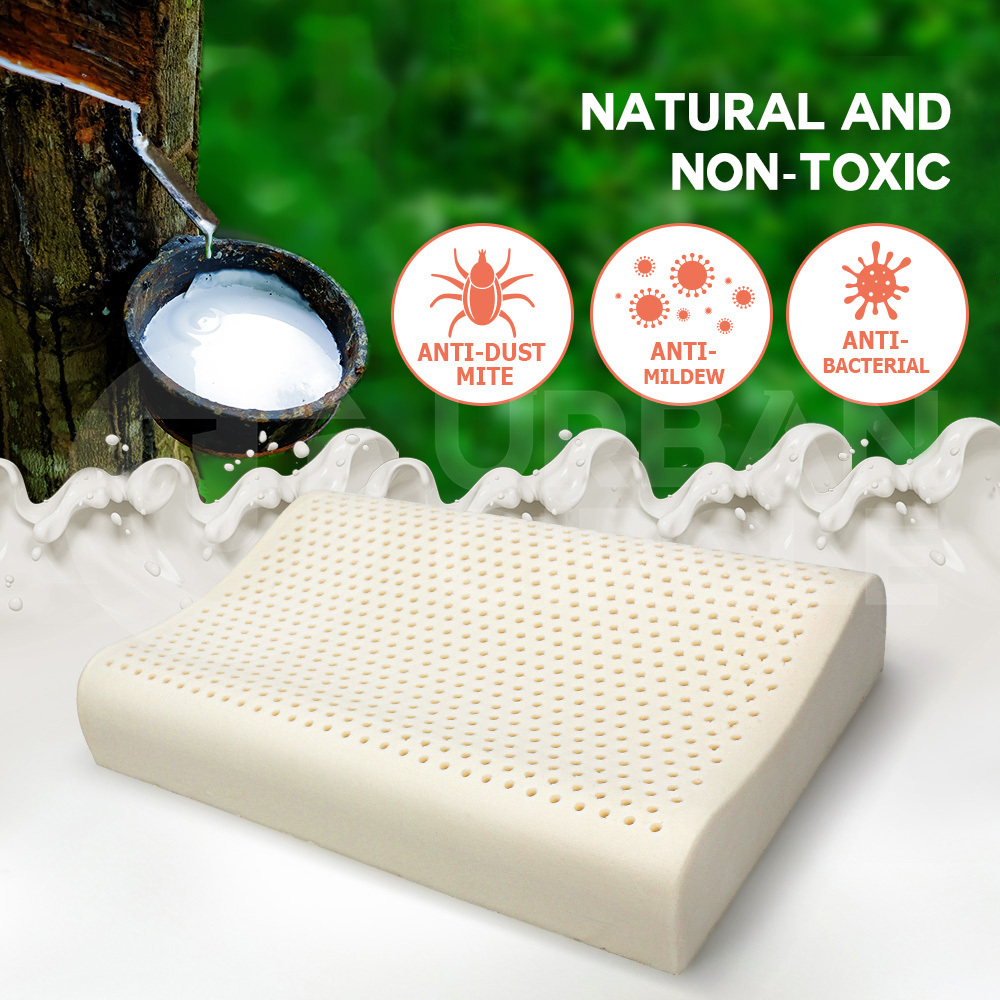 Mona Bedding 2x Natural Latex Pillow w Cover Medium Feel Standard 3 Zone Contour - Picture 33 of 48