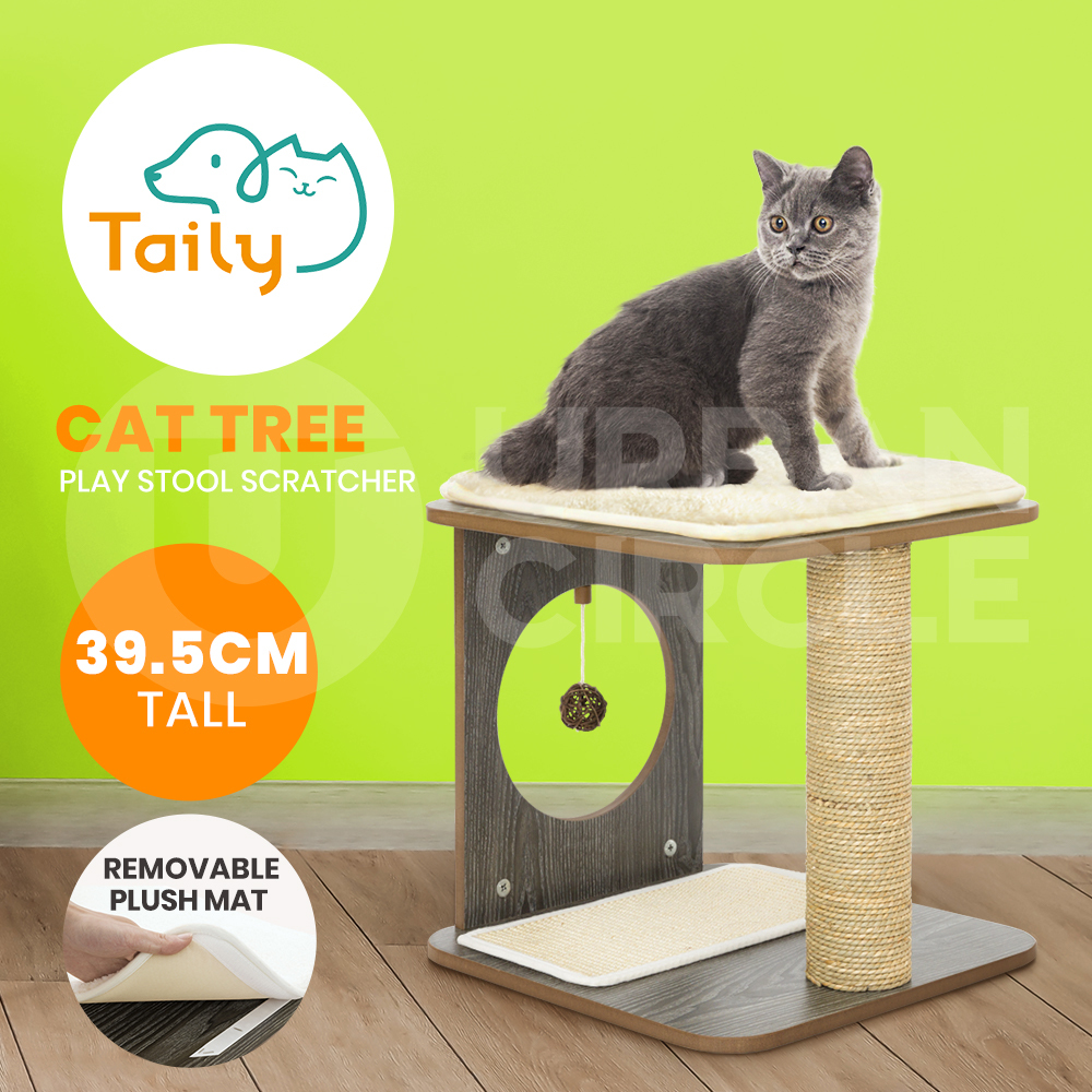 Cat play pole top